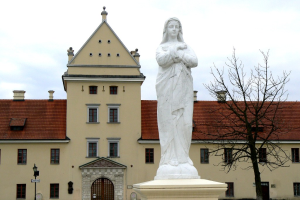 Замок, Жолква